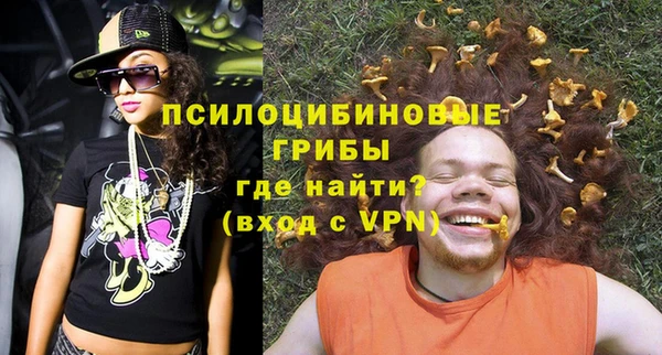 крисы Аркадак